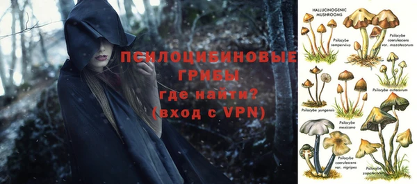 шишки Арсеньев