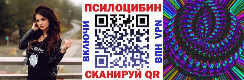 Псилоцибиновые грибы Magic Shrooms  MEGA ONION  Петровск 